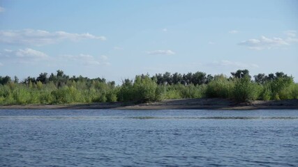 Wall Mural - Landscape in morning river. Concept of nature, summer, travel and seasons. Copy space