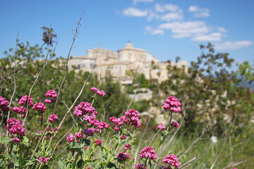 Canvas Print - Village de Gordes, Luberon, Provence, France