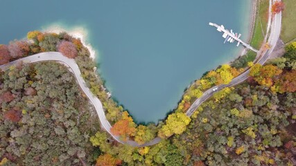 Wall Mural - lago alberi autunno strada ladro trentino 