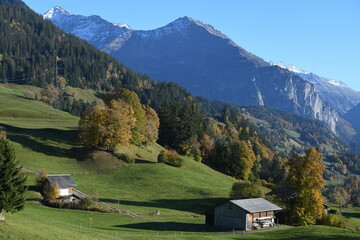 Poster - alpes bernoises...haslberg