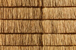 Thatched roof or wall consisting out of a natural reed straws, an eco friendly, ecological sustainable material on a sunny day  in The Netherlands. Biobased