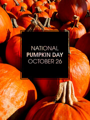 National Pumpkin Day frame stock images. Pile of many orange pumpkins vertical stock photo. Pumpkin Day Poster, October 26. Important day