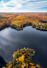 Wall Mural - Aerial view of a lake and forest in autumn