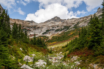 Mountain Meadow