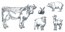 Farm Cattle Animals Set, Vector Sketch Illustration. Cow, Sheep, Pig, Goat, Rabbit Icons