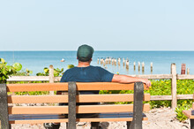 Back View, Medium Distance Of A Middle Aged Male With A Blueshift And Green Ball Cap Sitting And Relaxing On A Wood Bench At A Tropical Seashore, Watching Dolphins Chasing The Next Meal 