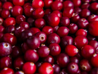 background of ripe fresh cranberries close up