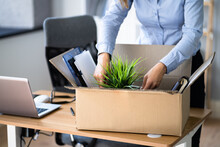 Job Quit. Employee Packing Cardboard Box