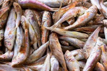 delicious fresh fish in the market