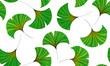 Seamless background. Drawn leaf of the Ginkgo Biloba plant. Black stroke on isolated illustration