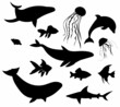 sketch sea animals, fish set on white background