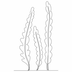 Wall Mural - seaweed drawing one continuous line vector