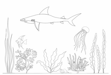 Wall Mural - sketch shark swims in the sea vector