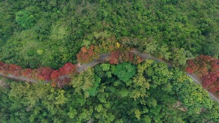 Wall Mural - Top down view of Mountain hiking trail in Hong Kong