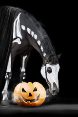 Wall Mural - Horse with halloween skeleton decoration and pumpkin