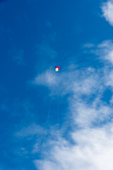 Wall Mural - colorful kites flying over the sky