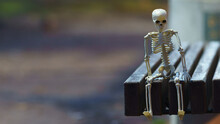 Photograph Of A Skeleton On A City Street At Night. Tired Abstract Skeleton Toy. He Sitting On The Bench In The Public Park. Natural Dark Background. Halloween Concept.