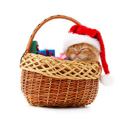 Canvas Print - Kitten in a Christmas hat basket.