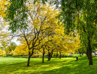 autumn at seattle park 3