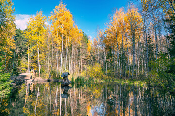 Wall Mural - a small lake in the autumn forest