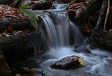 Fototapeta Kamienie - Jesienny wodospad