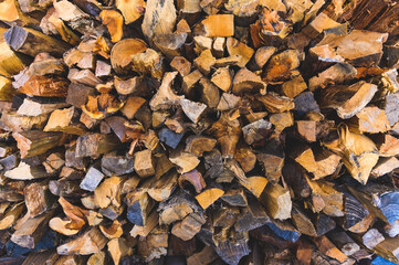 Wall Mural - Closeup of cut-up wooden logs