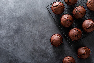 Wall Mural - Chocolate muffins on dark background. Top view.