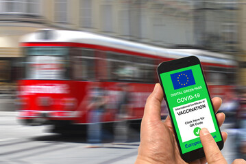 Wall Mural - A man at a tram stop holds a smartphone with the European Union digital green pass for Covid-19 in his hand. Safe travel concept during the Coronavirus and the Green pass