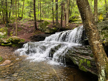 Waterfall In Allegheny National Forest