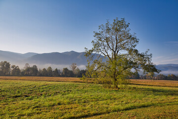 Wall Mural - Cades Cove, The Great Smoky Mountains.