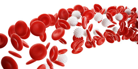 Red and White Blood Cells Vein Medicine science concept. 3d Render illustration. 3d render illustration