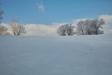 Poster - Winter Scene