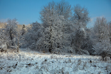 Poster - Winter Scene