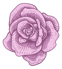 Poster - Rose Flower Design Woodcut Vintage Retro Style