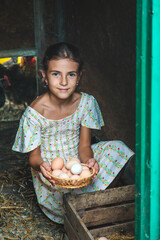 Wall Mural - The child picks up the eggs in the chicken coop. Selective focus.