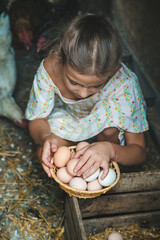 Wall Mural - The child picks up the eggs in the chicken coop. Selective focus.