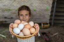 The Child Picks Up The Eggs In The Chicken Coop. Selective Focus.