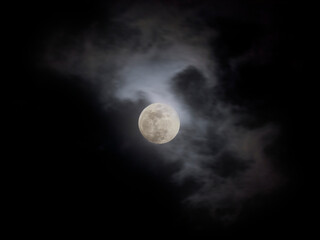 Wall Mural - cloudy full moon night
