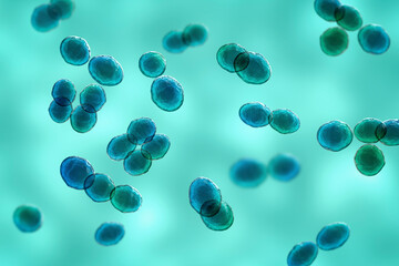 Poster - Bacteria Lactococcus, 3D illustration