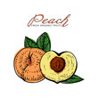 Peach Fresh Organic Fruits