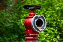 Closeup Of Red Fire Hydrant With Green Plants Background Outdoors