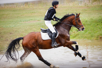 portrait of rider man and black stallion horse galloping during eventing cross country competition in autumn