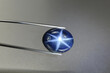 Natural 6 rays blue star sapphire gemstone in tweezers. Heated, diffusion treated, opaque, oval cabochon polished loose setting for making jewelry. Natural mined genuine corundum. Gemology, mineralogy