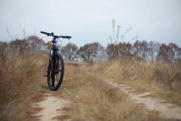 Wall Mural - bike stands on in the field. A mountain bike stands on a field path with dry autumn grass. cycling. Mountain bike. outdoor cycling activities. active rest, sports, travel. space for text