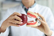 Dentist doctor holds artificial jaw and red apple closeup