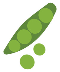 Wall Mural - Green peas, illustration, vector, on a white background.