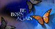 Be Born Again Butterfly Graphic Background