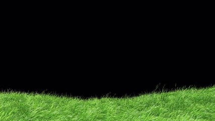 Wall Mural - mountain grass swaying wind loop with alpha channel. element footage you can place on background.