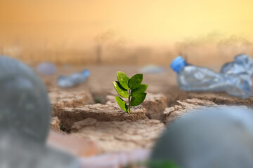 reen plant growing on dry cracked earth surrounded by waste of plastic bottle and polluted city and industry on background. Co2, Climate change and Plastic is impact to mother earth concept.