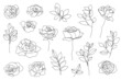 Vector set of hand drawn, single continuous line flowers, leaves. Art floral elements. Use for t-shirt prints, logos, cosmetics and beauty design elements.
